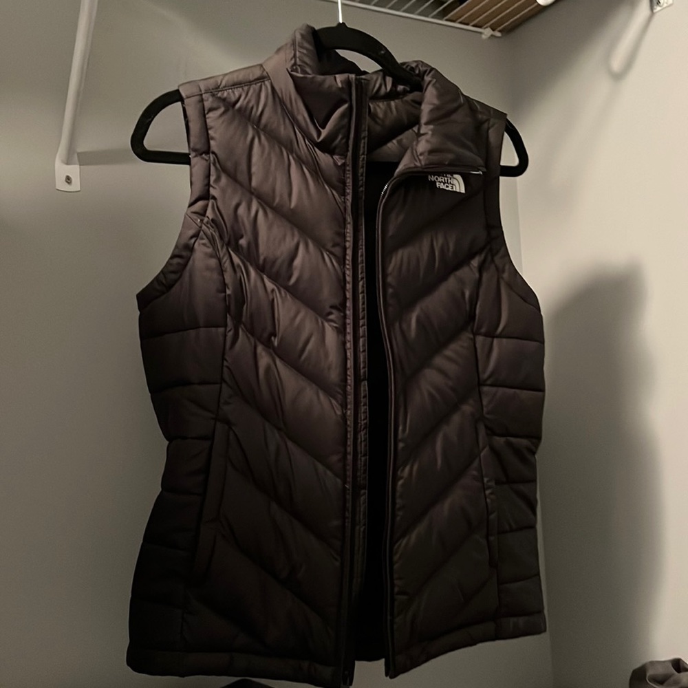 The north face vest